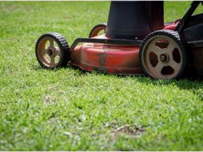 Why is lawn care and maintenance crucial