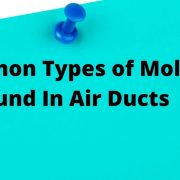 Molds Found In Air Ducts