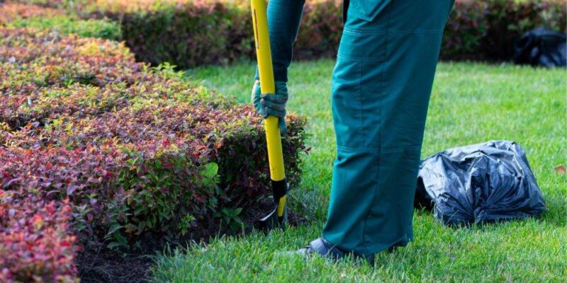 Improving soil health